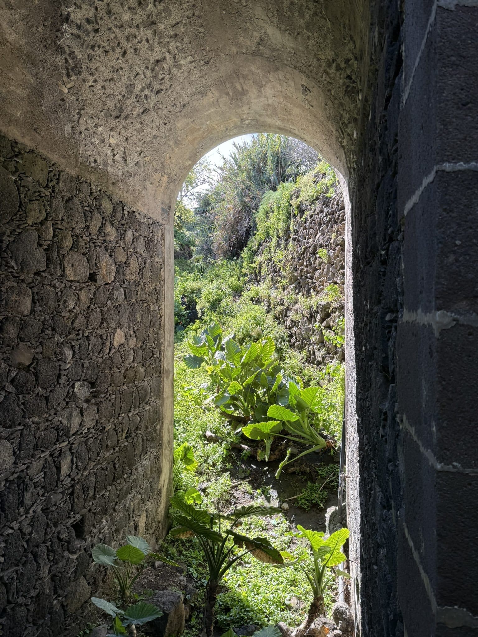 Výlety po Tenerife