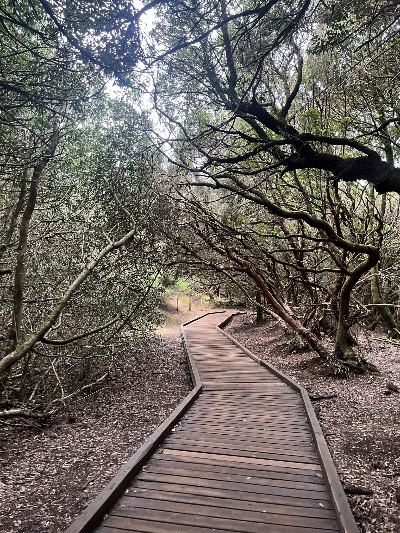 Výlety po Tenerife