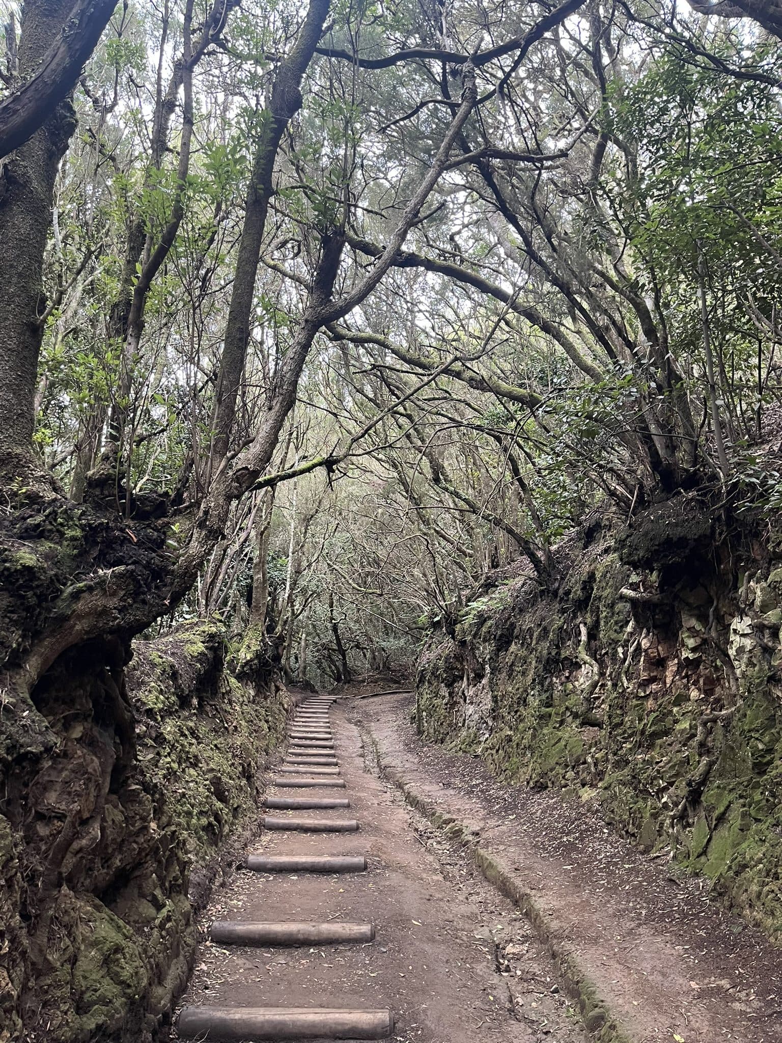 Výlety po Tenerife