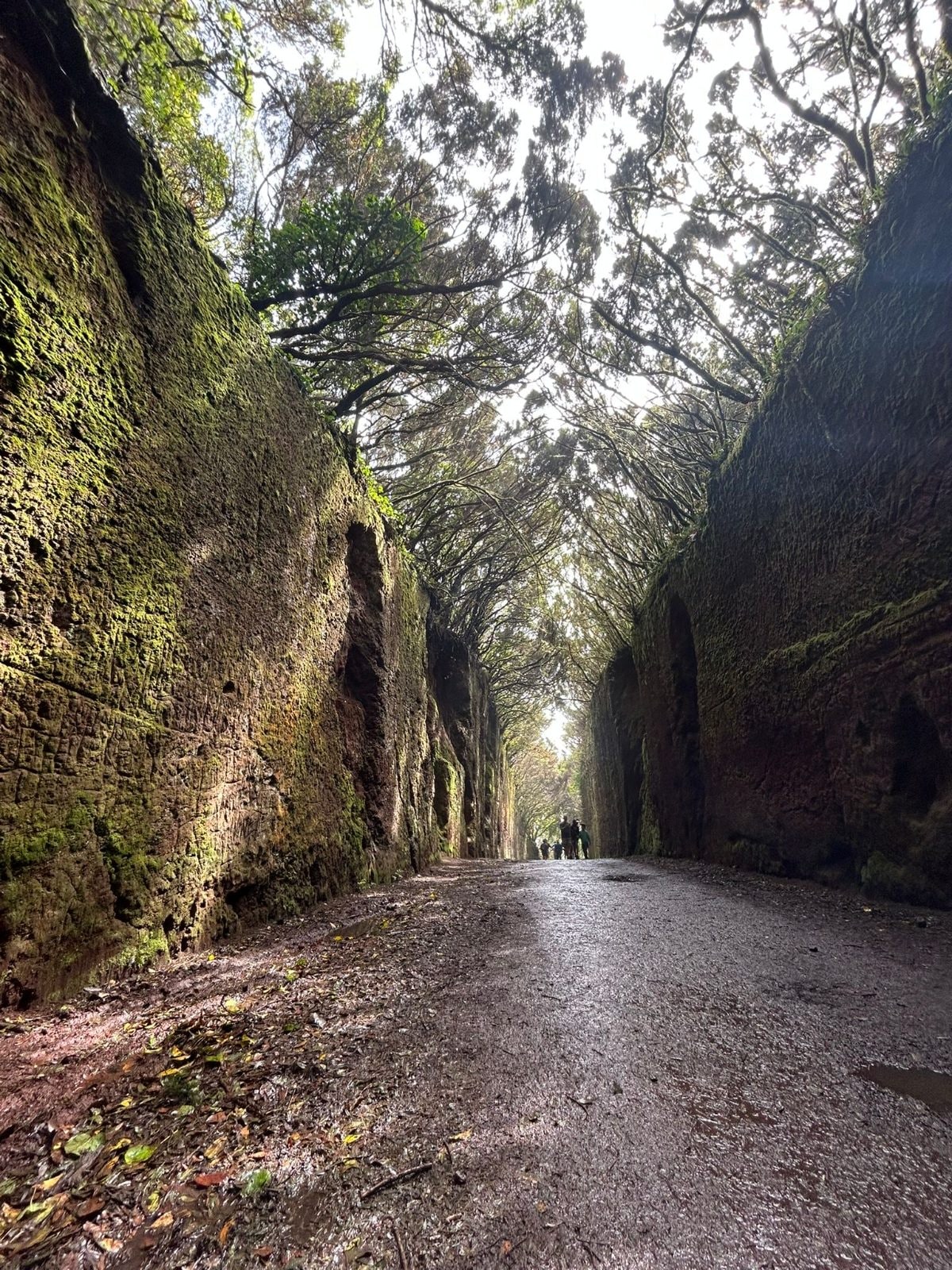 Tenerife — Costa Adeje