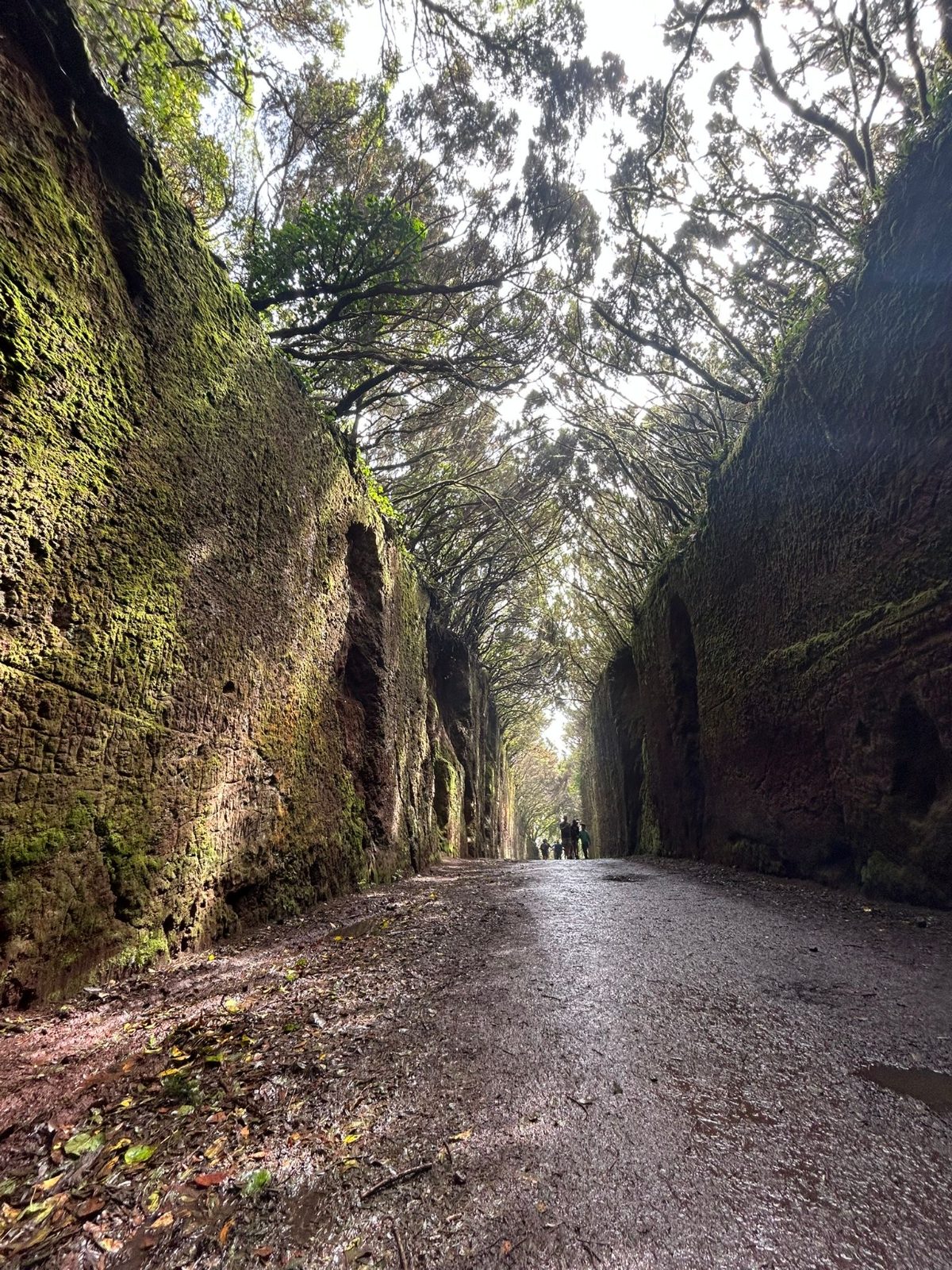 Výlety